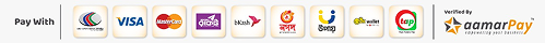 payment logo